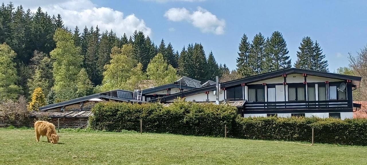 Ferienwohnung Gabi フォルバック エクステリア 写真